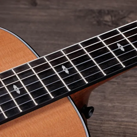 2024年の新アコースティックギター | Taylor Guitars